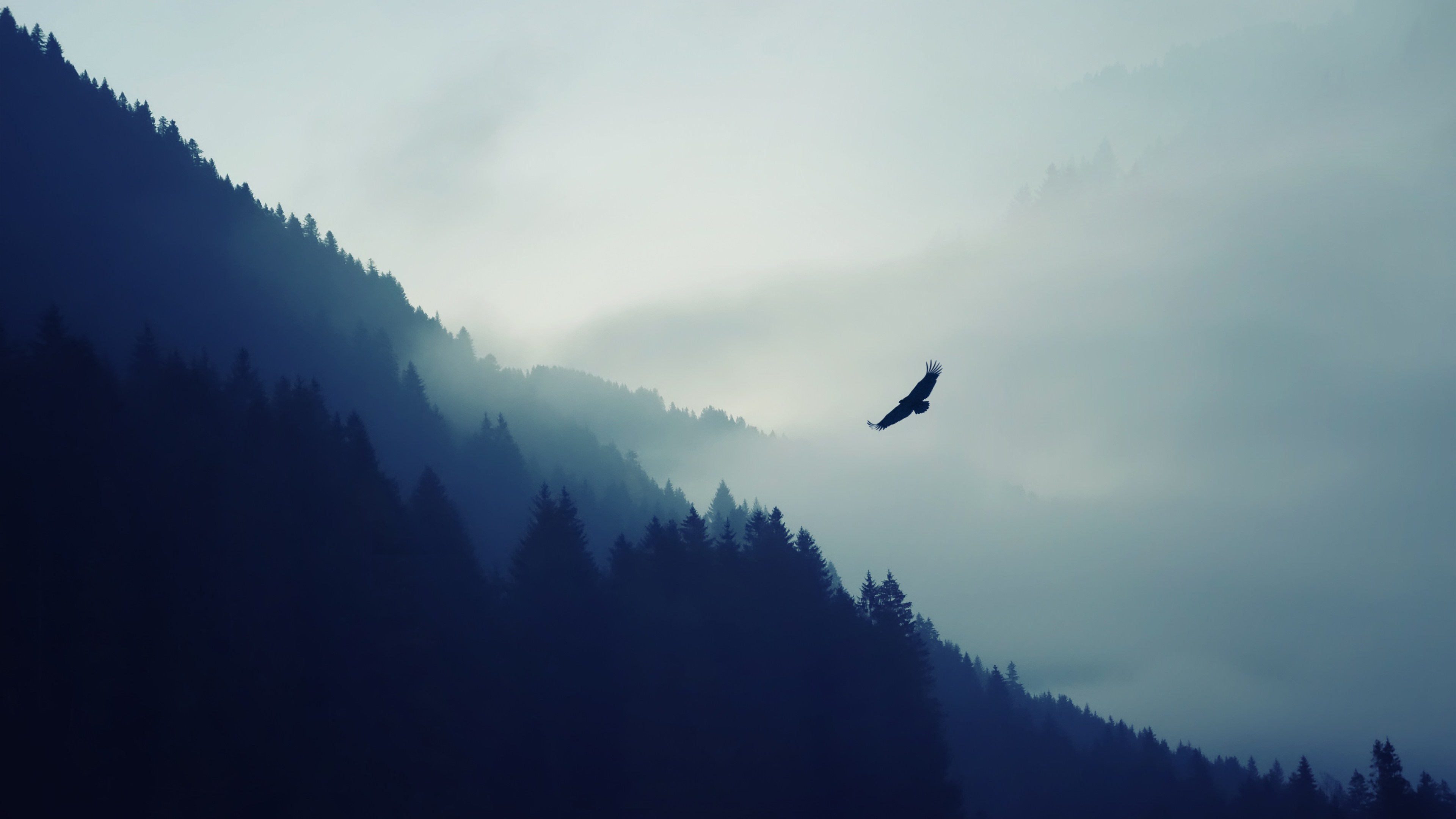 Misty mountain wallpaper from the Destiny 2 collection