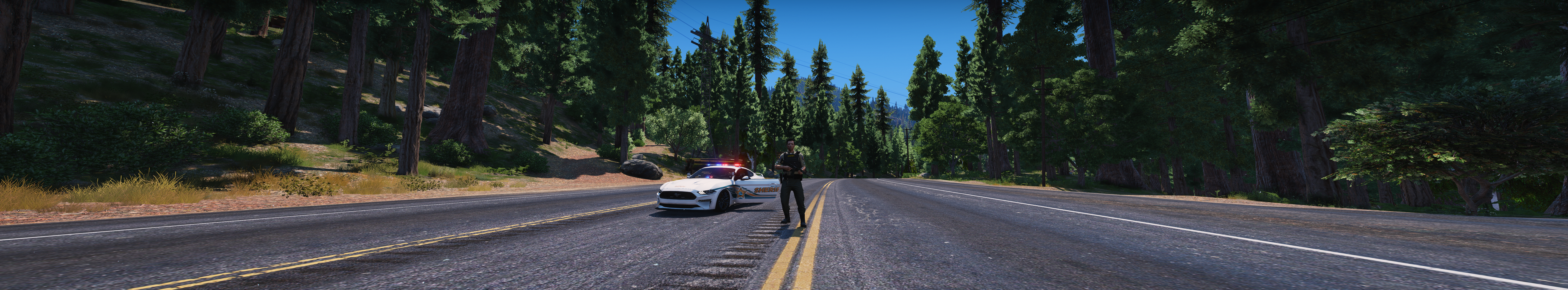 GTA V LSPDFR BCSO screenshot